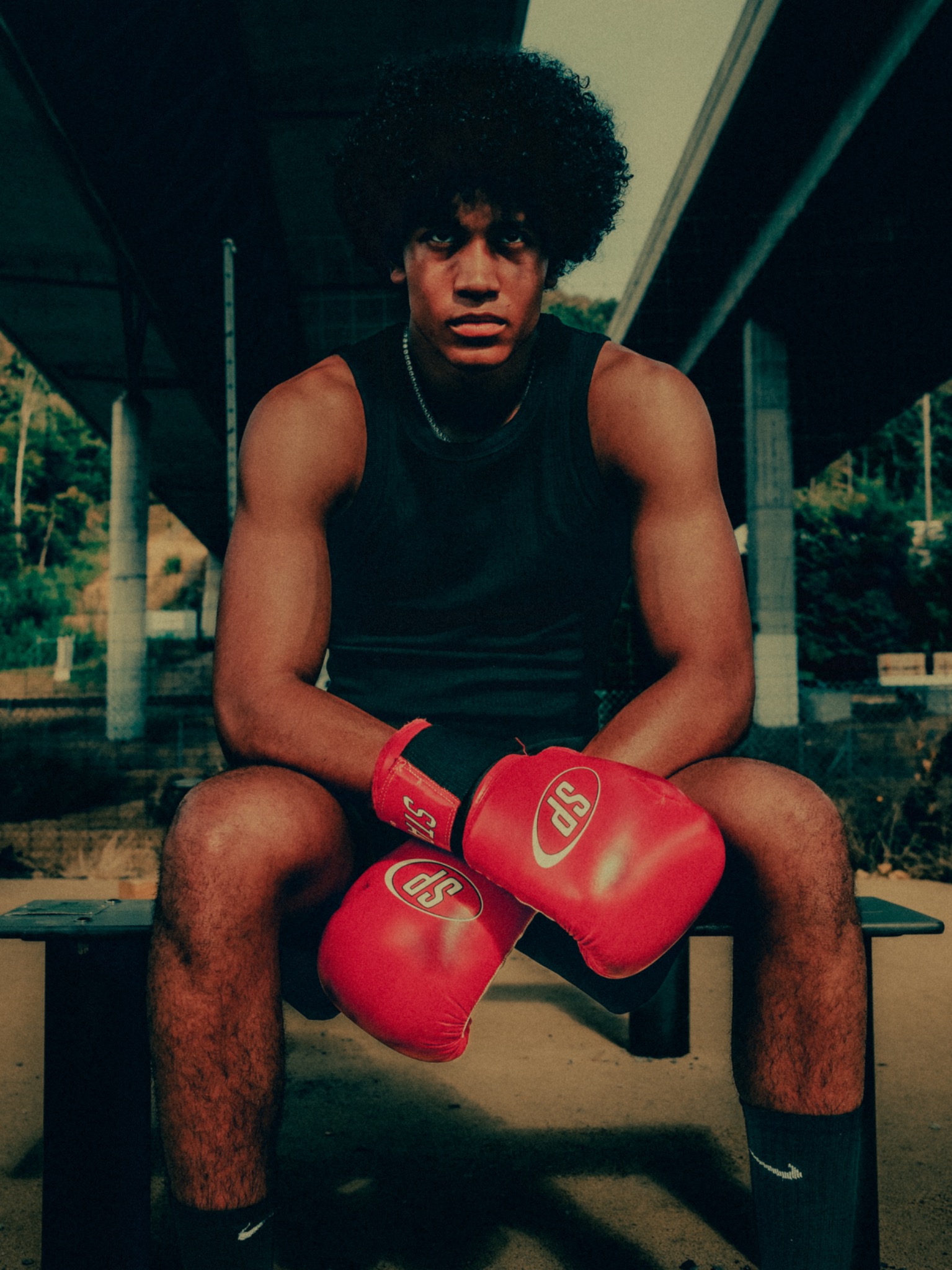 Boxerportrait mit roten Boxhandschuhen